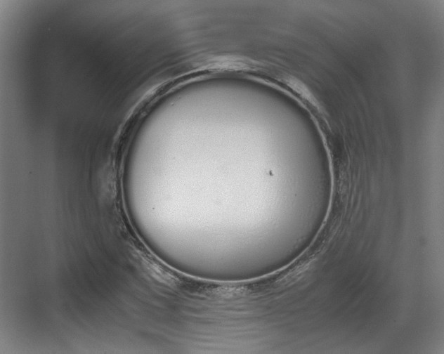 X0000070381067200606161338