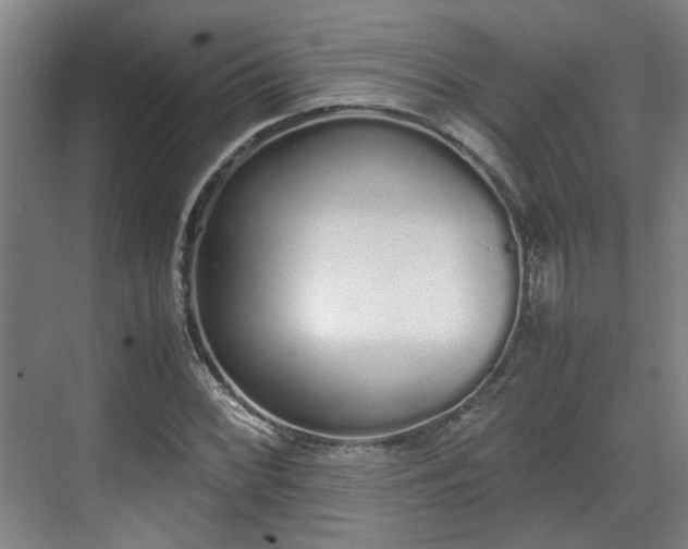 X0000070381068200606161338