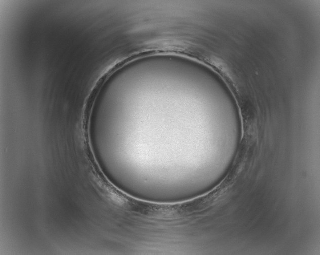 X0000070381071200606161338