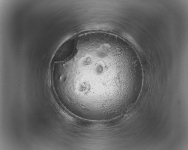 X0000070381079200606161338