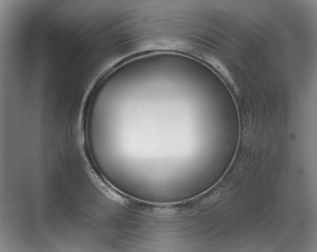 X0000070381080200606161338