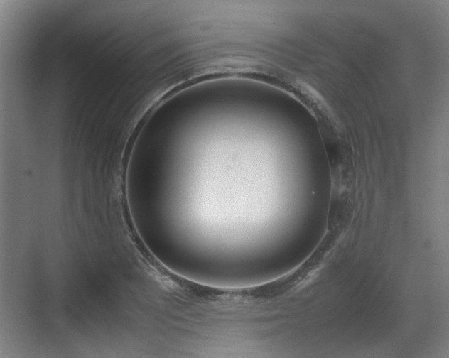 X0000070381081200606161338