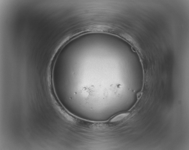 X0000070381083200606161338