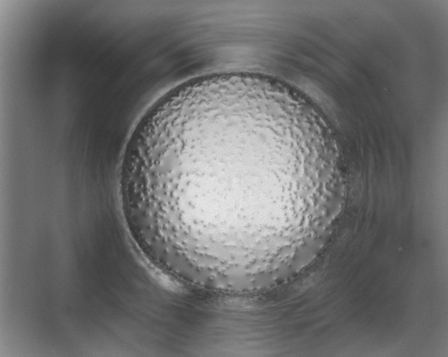 X0000070381086200606161338