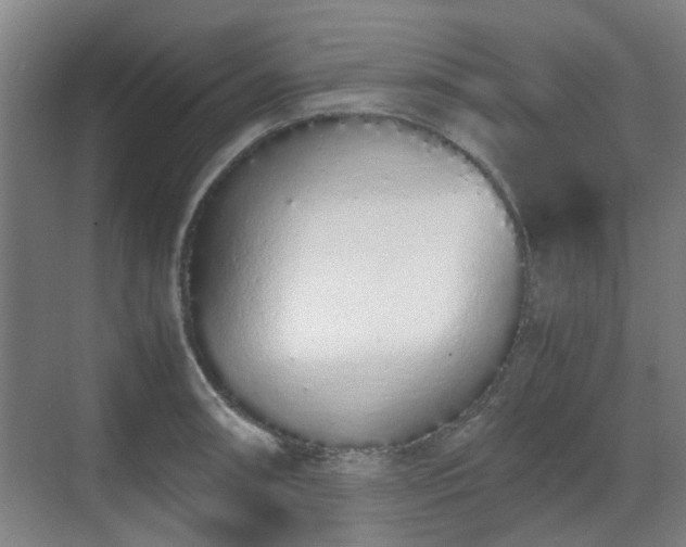 X0000070381090200606161337