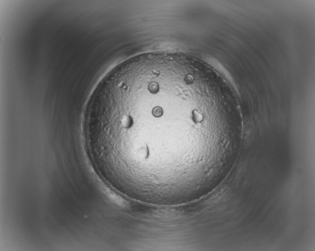 X0000070381091200606161337