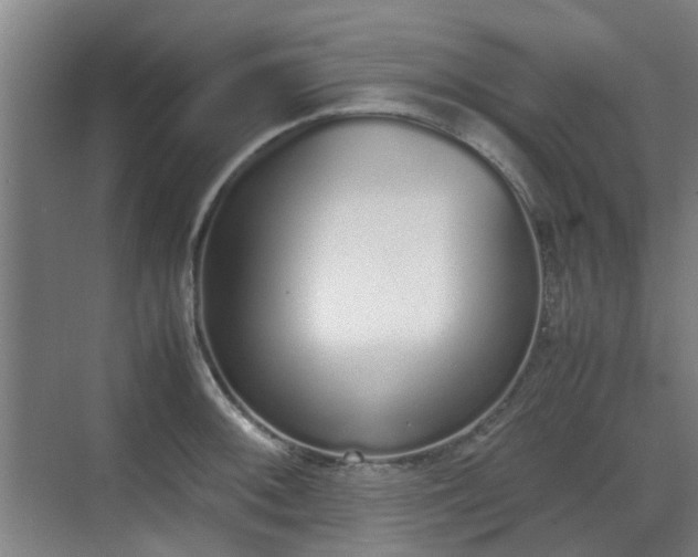 X0000070381092200606161337