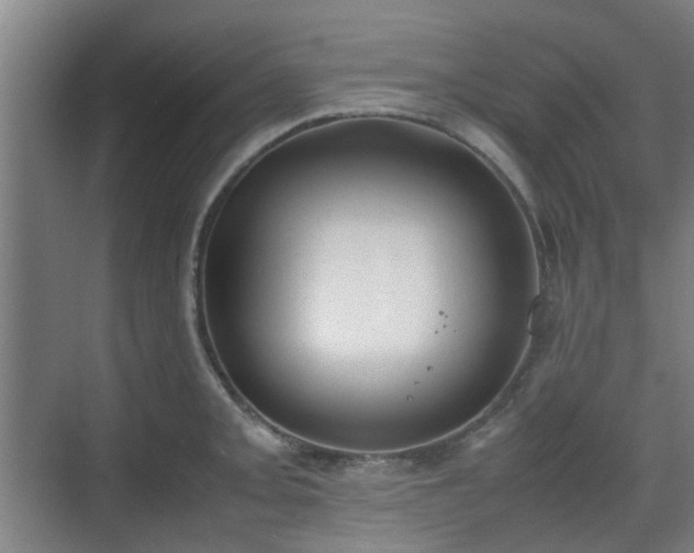 X0000070381093200606161337