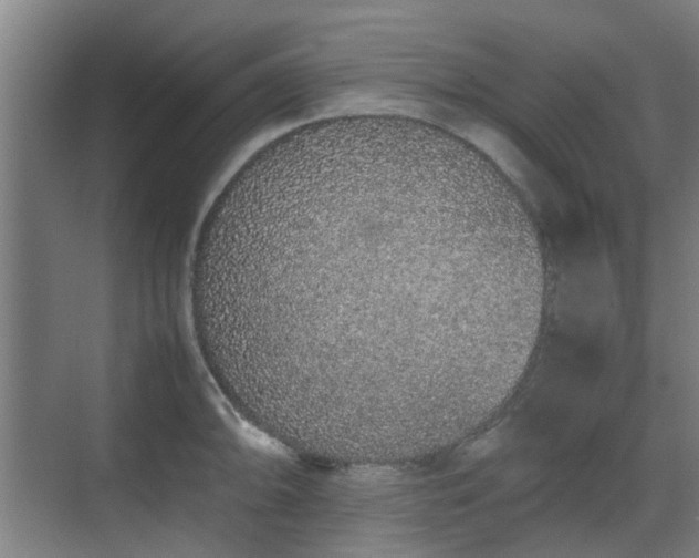 X0000070381094200606161337