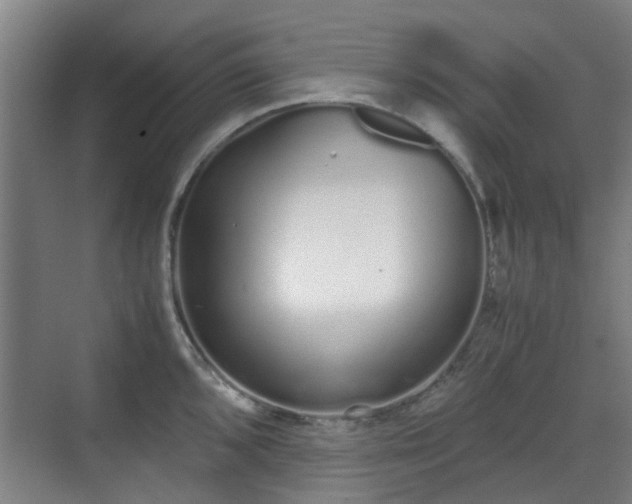 X0000070381096200606161337