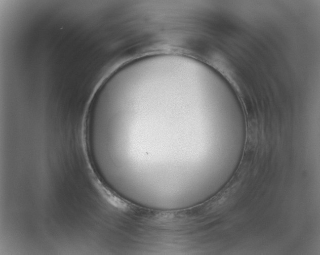 X0000070381098200606161337