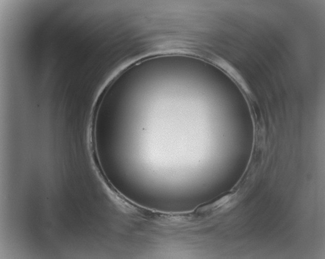 X0000070381101200606161337