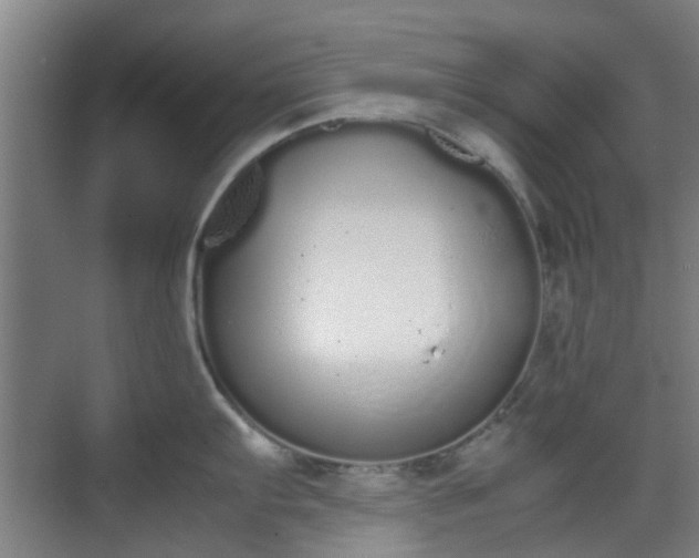 X0000070381103200606161337