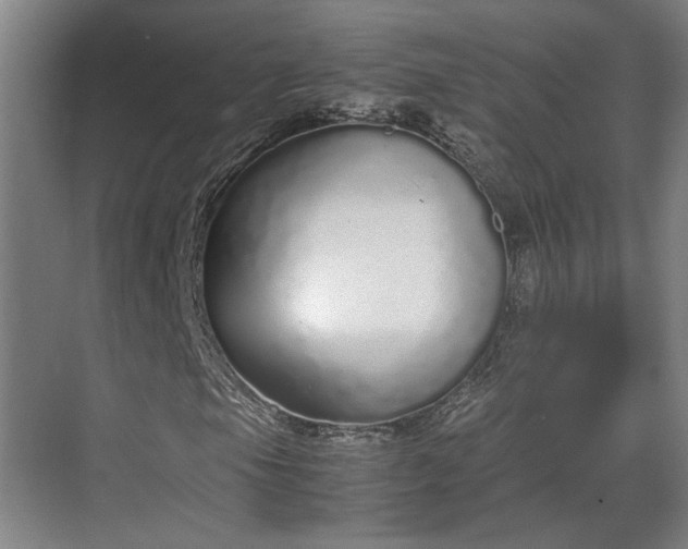 X0000070381105200606161336