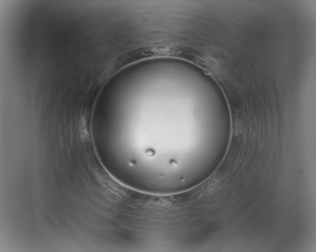 X0000070381106200606161336