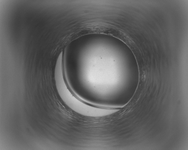 X0000070381108200606161336