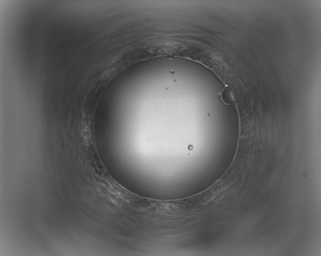 X0000070381109200606161337