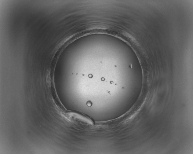 X0000070381113200606161337