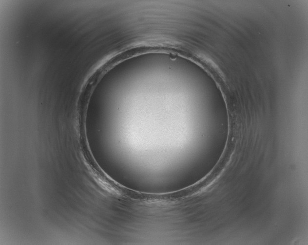 X0000070381114200606161337