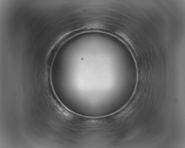 X0000070381115200606161337