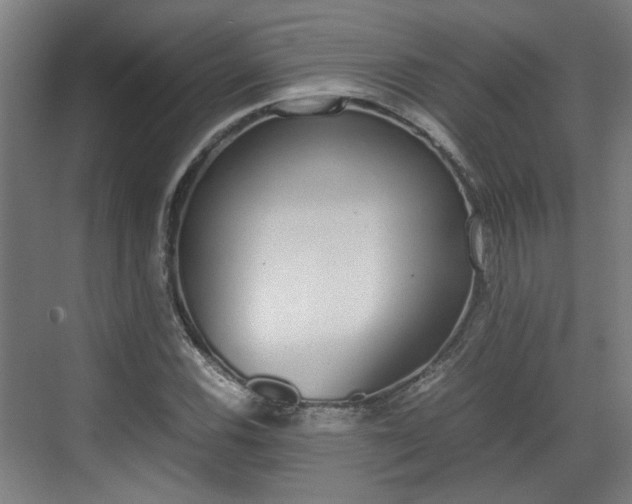 X0000070381116200606161337