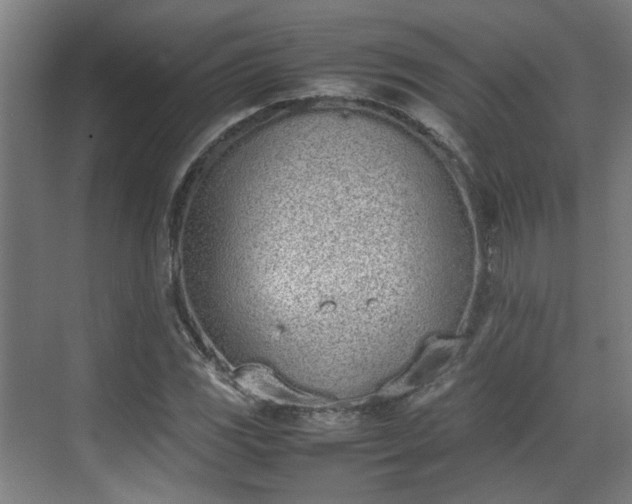 X0000070381117200606161337