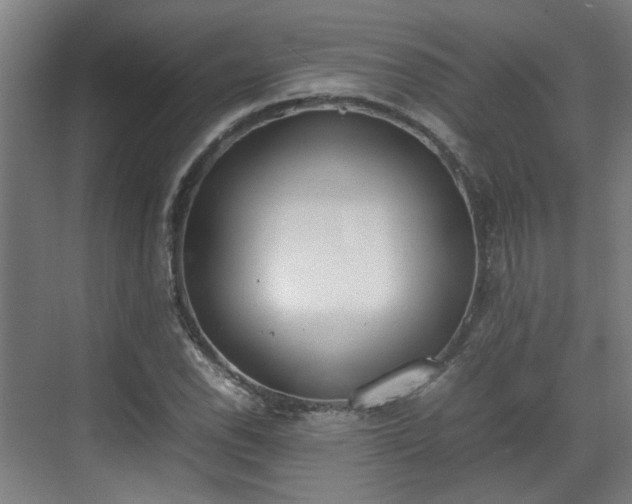 X0000070381118200606161337