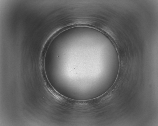 X0000070381119200606161337