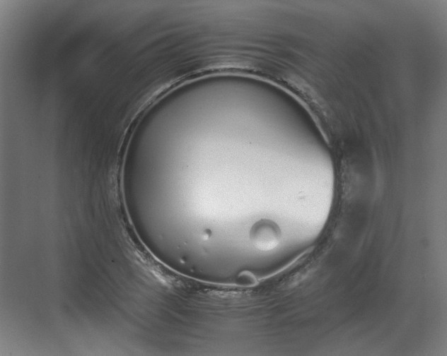 X0000070381121200606161337