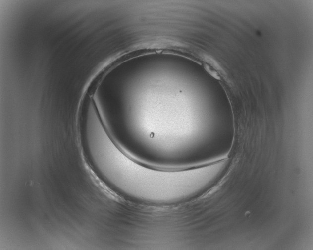 X0000070381122200606161337