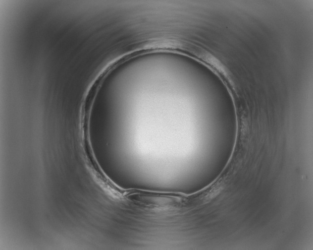 X0000070381124200606161337