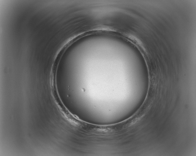 X0000070381125200606161337