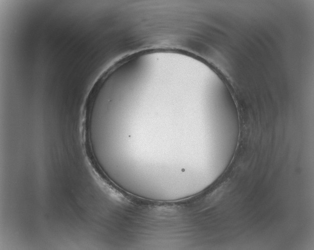 X0000070381126200606161337