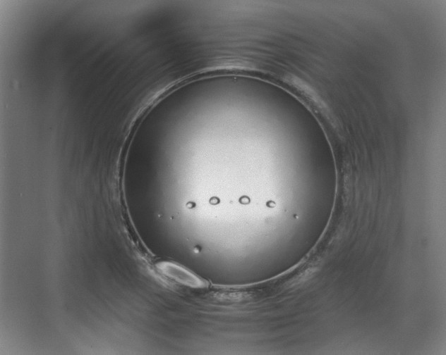 X0000070381129200606161337