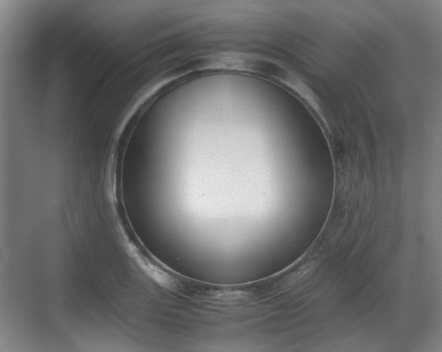 X0000070381131200606161337