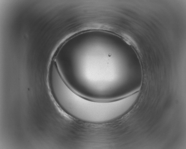 X0000070381136200606161337