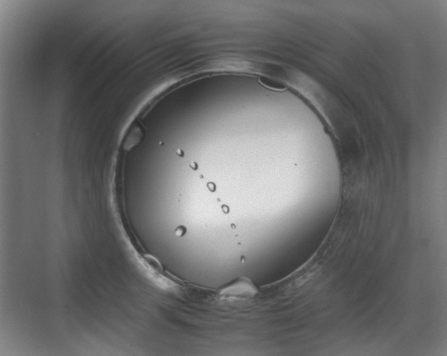 X0000070381139200606161337