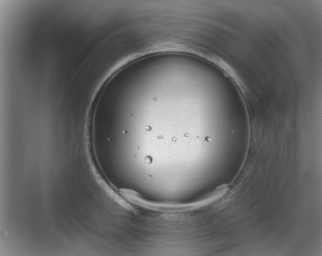 X0000070381142200606161337