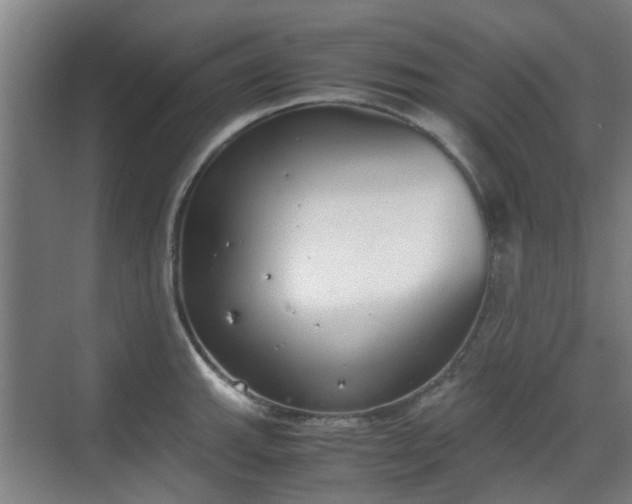 X0000070381143200606161337