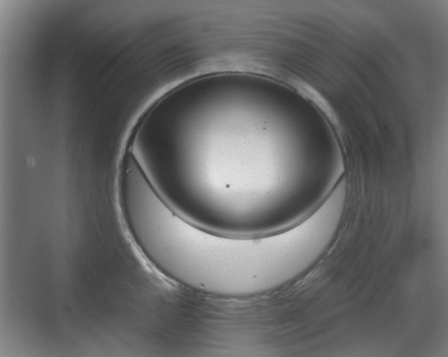 X0000070381144200606161337