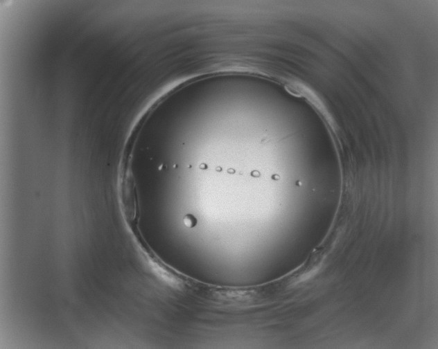 X0000070381149200606161337