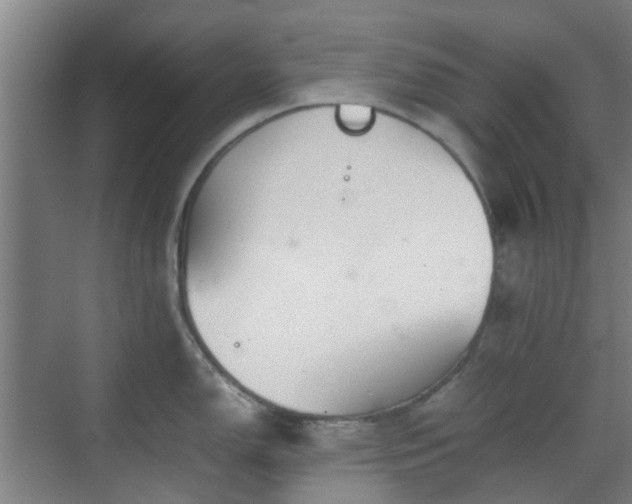 X0000070381150200606161337