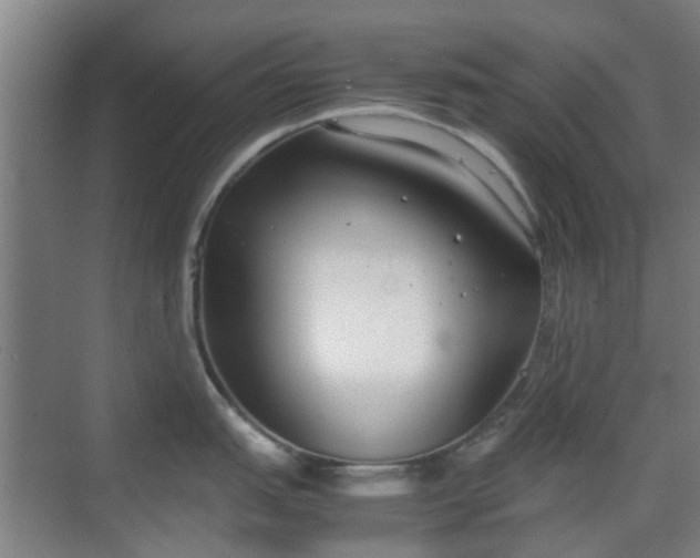 X0000070381151200606161337