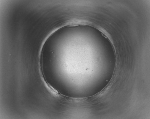 X0000070381152200606161337