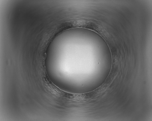 X0000070381153200606161336