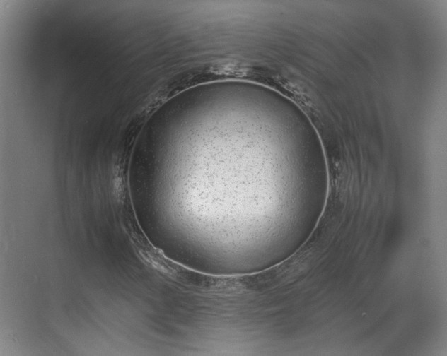 X0000070381154200606161336