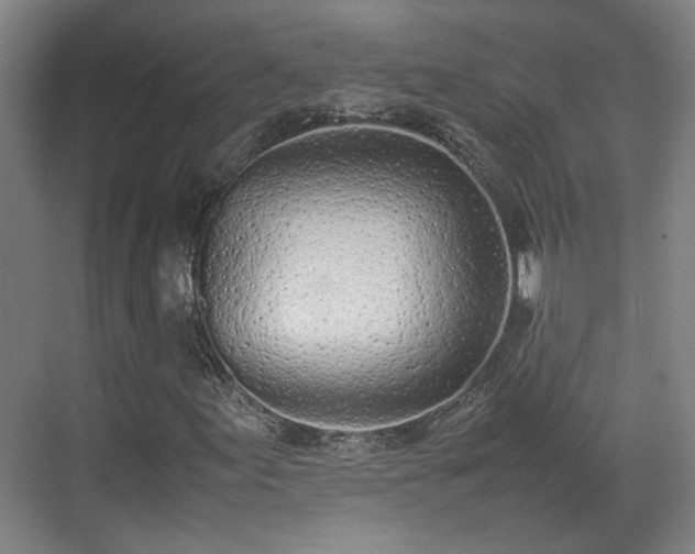 X0000070381155200606161336