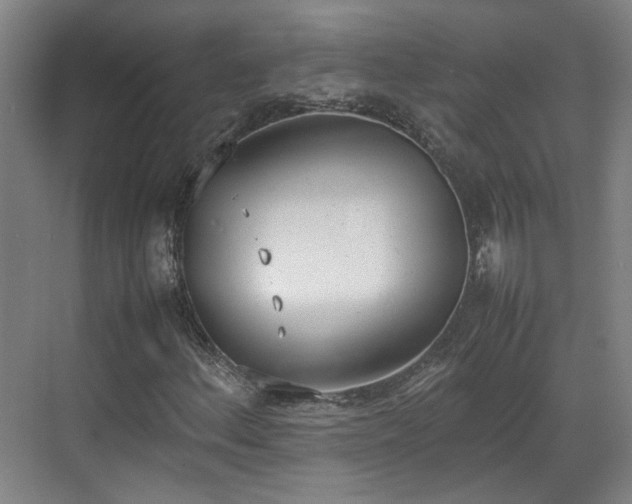 X0000070381156200606161336