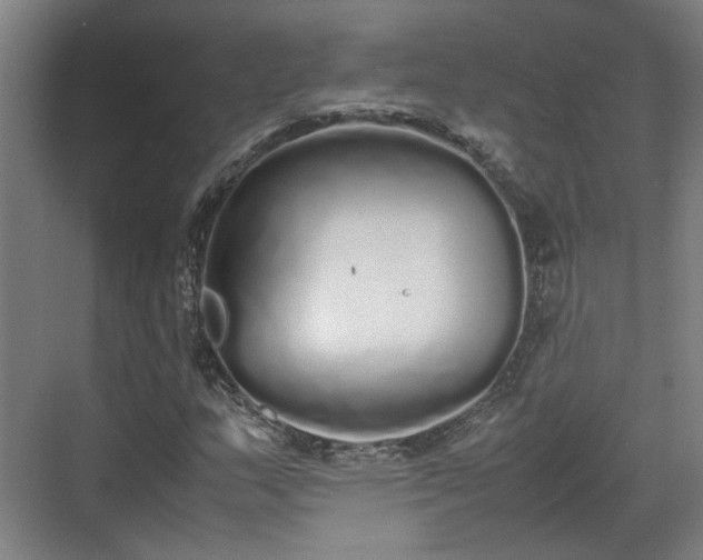 X0000070381159200606161336