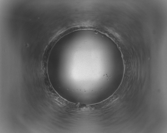 X0000070381160200606161336